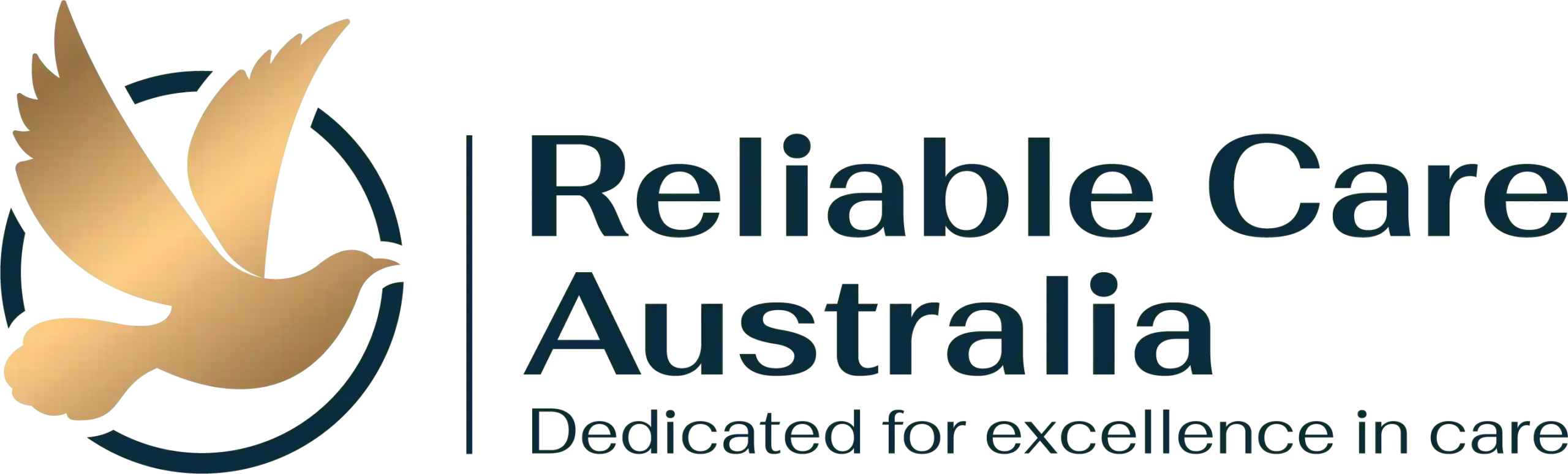 01-1-1 (1)_69526eecc3d28